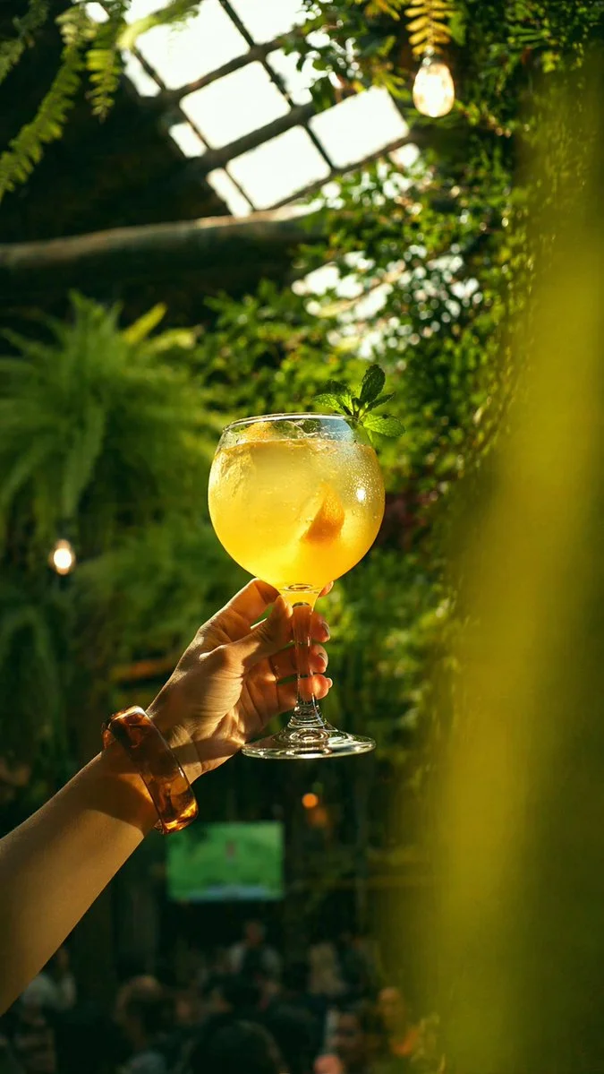 温室酒吧金色鸡尾酒